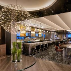 фото 27 Hyatt Regency Moscow Petrovsky Park (Хаятт Ридженси Москва Петровский Парк)