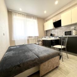 1-комнатные апартаменты люкс Пухова 56-41