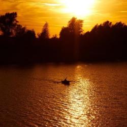 Фото Отель Золотая Рыбка