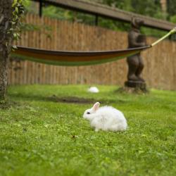 Фото Отель Сосновый бор