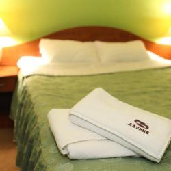 Фото Отель Даурия