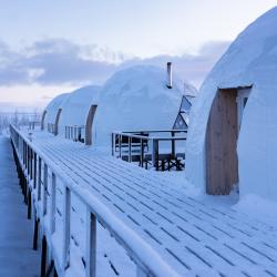 Фото Отель Aurora Village (Аврора Вилладж)