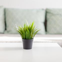 Фото Отель RentPlaza (РентПлаза) на 5-ой просеке 133