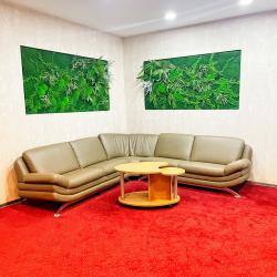 Фото Отель Аквилон курорт