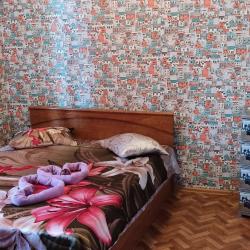 Фото Апартаменты на переулке Молодежный