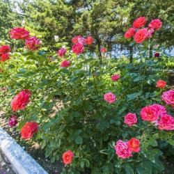 Фото Отель Золотой берег