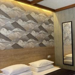 Фото Отель Шишка