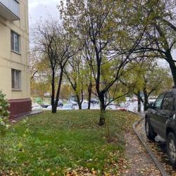 Фото Отель Уютная атмосфера на улице Ремизова 15 корпус 1