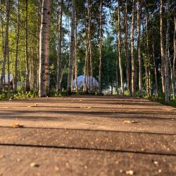 Фото Отель Свобода