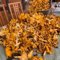 Фото Парк-отель Кречет