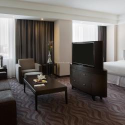 SHERATONPLAZA Ufa Congress Hotel (Шератон Плаза Уфа Конгресс) (бывш. Краун Плаза Уфа Конгресс) — ff162725be01c6c93729d572164a4909