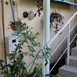 Фото Отель Эдем