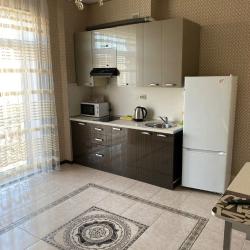 1-комнатные апартаменты стандарт №4