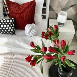 1-комнатные апартаменты стандарт