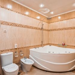 Номер Джуниор сюит Шодо