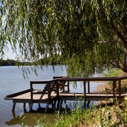 Фото Отель Усадьба Фамилия