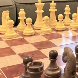 Фото Отель Walde Park (Вальде Парк)