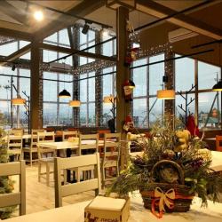 Фото Отель Лисий остров