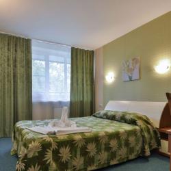 Номер люкс с 1 двуспальной кроватью (с пансионом)