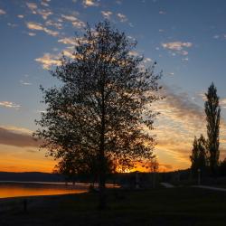 Фото Отель Звездный