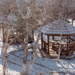 Фото Отель Надежда