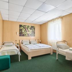 4-местная комната стандарт