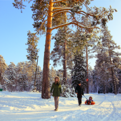 Фото Отель Пансионат Сосновый бор