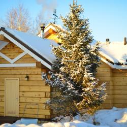 Фото Отель Калина Красная