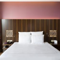 Фото Swissôtel Resort Камелия (Свиссотель Камелия)