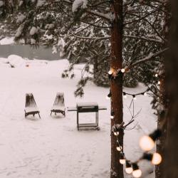 Фото Отель Хвойная хижина