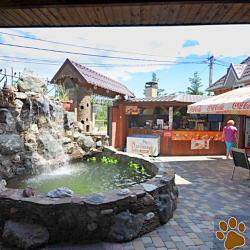 Фото Отель Багира