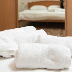 Фото Отель Vgosti на улице Алексеева 115