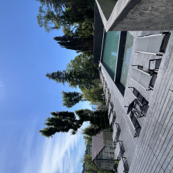 Фото Стильные апартаменты в 10-и минутах от моря