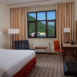фото 44 Radisson Rosa Khutor ( Рэдиссон Роза Хутор )