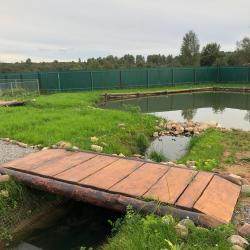 Фото Отель Экоферма Егорово поместье