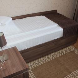 Фото Отель Ока