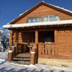 Фото Отель Лесная Усадьба