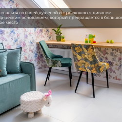2-комнатные апартаменты люкс (мансарда)
