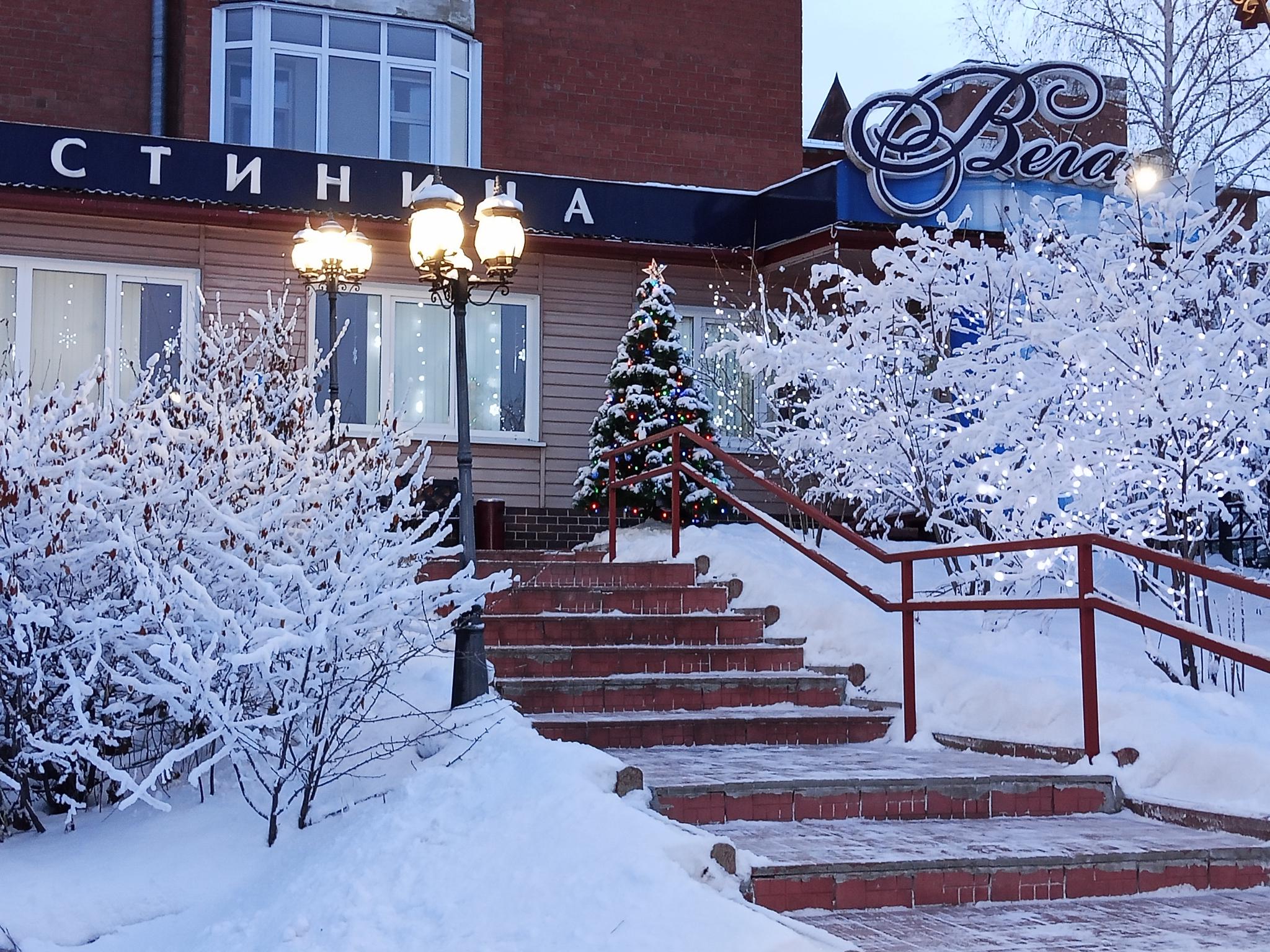 Вега - 3