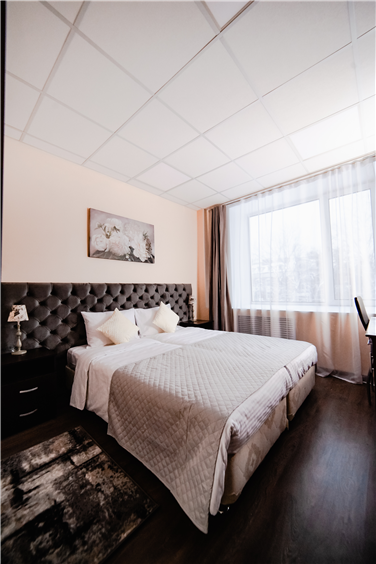 Business lounge hotel (Бизнес Лаундж Отель) - 7