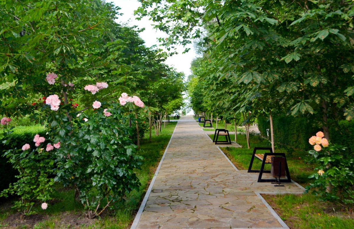 Парк-Отель Южный берег - 13
