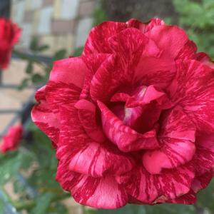 Фото 4