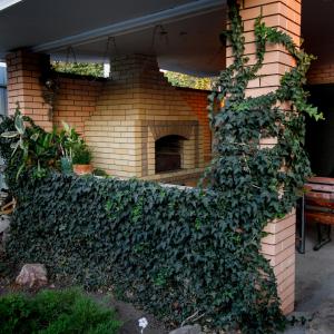 Фото 3