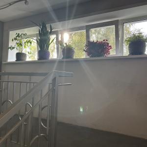 Фото 3