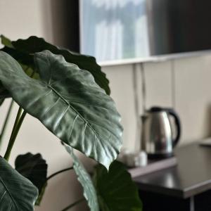 Фото 4