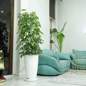 Фото 4