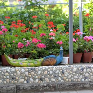 Фото 3