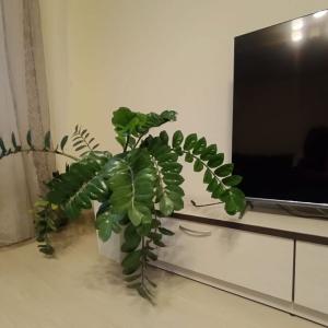 Фото 4