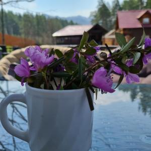 Фото 3