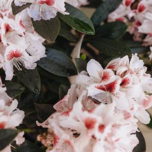 Фото 3